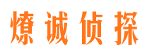 泗县市调查公司